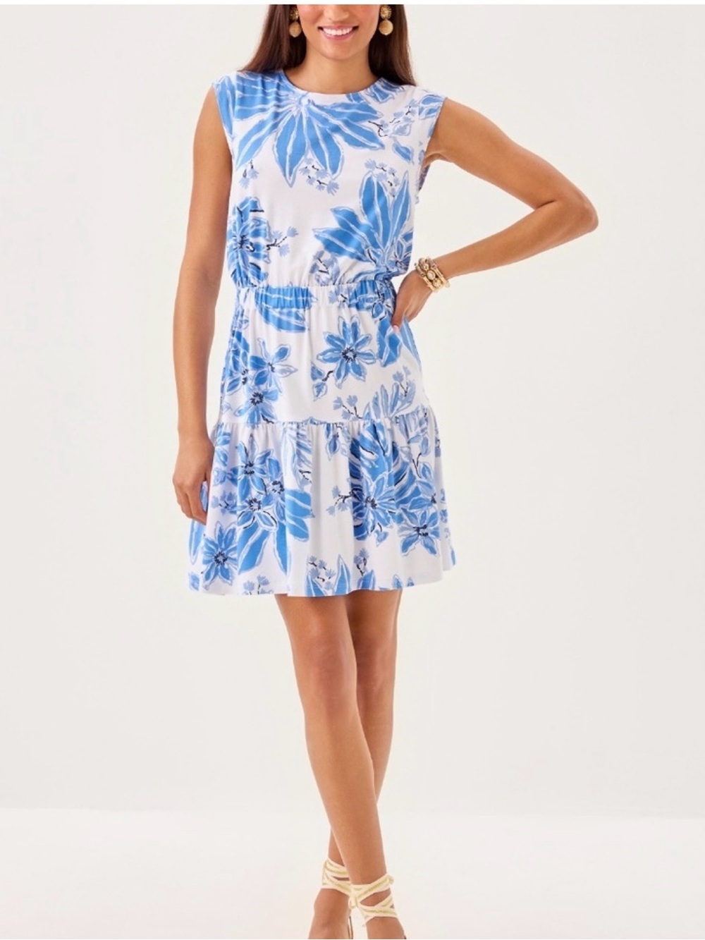 NWT Lilly Pulitzer Danville Dress with Blue Floral Print: size small